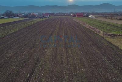 Comision 0%! Teren 17 000 mp, front 45 ml la drum national, utilitaiti in fata - 2