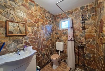 Casa individuala cu mansarda/ Teren 1000mp/ Petrestii de Jos - 12