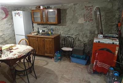 Casă individuală cu 8 camere cu Teren 744 Mp în Ilidia - 9