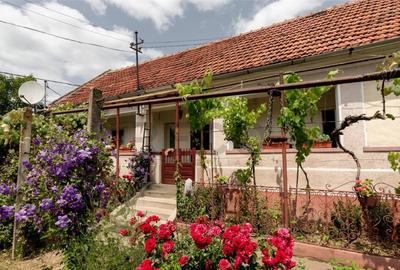 RECO Casa de Ineu - 3