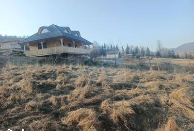 Teren de 3000 mp, în Curtești - 8