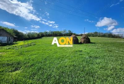 De vanzare 2965 mp teren intravilan, toate utilitatile, Oarda de Sus De vanzare 2965 mp teren intravilan, toate utilitatile, Oarda de Sus - 3