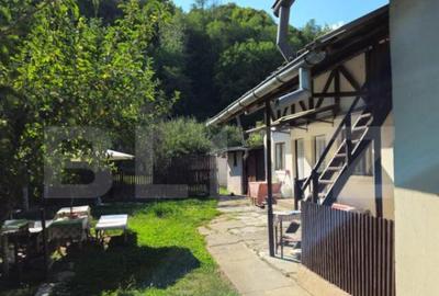 Casa spa?ioasa cu livada, intr-o zona lini?tia la 2 - 3