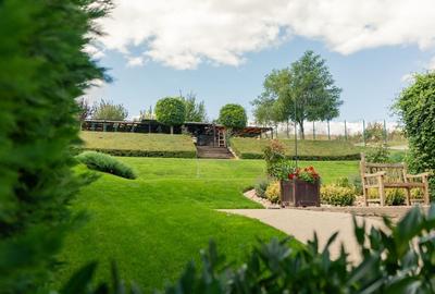 Proprietate spectaculoasă în Câmpenești de vanzare - 3