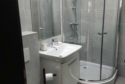 Apartament cu 2 camere semidecomandat în Tudor Vladimirescu - 7