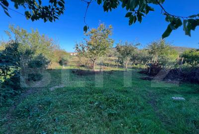 Casa individuala 4 camere - 3