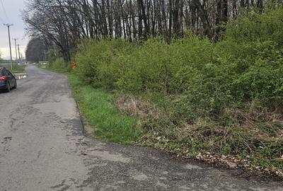 Lot teren stradal doua parcele a cate 1250mp in padurea Petresti - Corbeanca