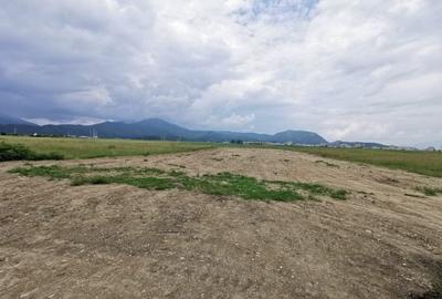 Teren pentru hale si depozite Timisul sec- Uzina 2 front la ocolitoare - 7