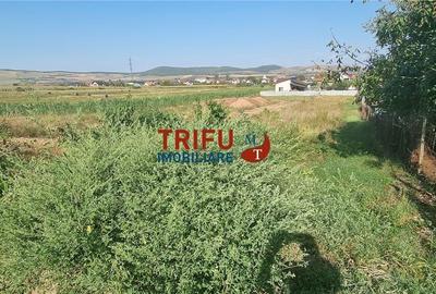 Teren intravilan 1000 mp de vanzare zona Alba-Micesti - 2