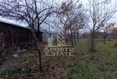 Casa alipita cu teren, necesita renovari, situata in zona Freidorf. - 7