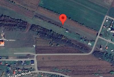 Teren de 550 mp, în Daia - 3