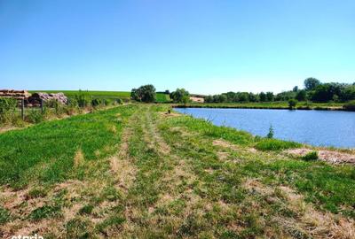 Spațiu comercial, în Mișca - 8