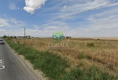 Teren Construcții intravilan de 2010 mp, în Frumușani - 2