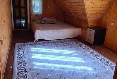 Casă cu 7 camere cu Teren 2000 Mp în Dâmbovicioara - 6