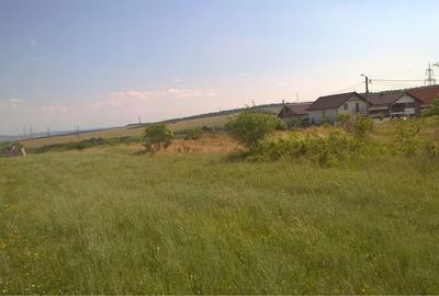 Teren de 450 mp, în Zăvoi - 3