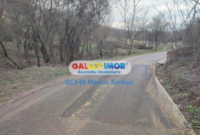 Teren Construcții intravilan de 2248 mp, în Răzvad - 11