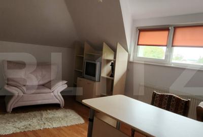 Casa de locuit cu spa?iu comercial venit pasiv lunar, - 26