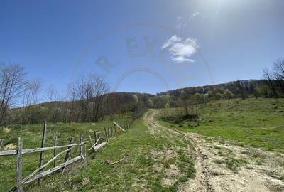 Teren 13.000 mp zona de deal - Aninoasa AG - 3
