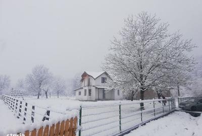 Spațiu comercial, în Domnești - 3