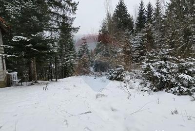 Teren de 430 mp, în Gura Humorului - 6