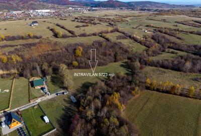 Teren intravilan 5723mp Zarnesti Tohanita- case de vacanta,investitie in turism - 4