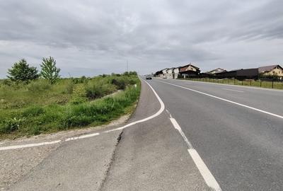 Teren intravilan 1800 mp, Centura-Ciurbesti-dubla deschidere - 11