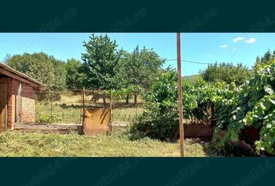 Casă cu 3 camere în Miniș