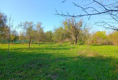 Spațiu comercial, în Traian - 3