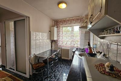 Apartament 2 camere, decomandat, zona  Aleea Jiului - 10