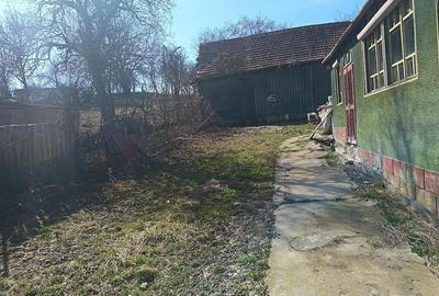 Casă cu Teren 1565 Mp în Sângătin - 8