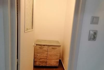Apartament 2 camere Calea lui Traian Nord zona Complex - 13