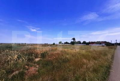 Teren Construcții intravilan de 6358 mp, în Aeroport - 2