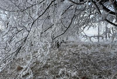 Apartament lux 2 camere de inchiriat Future Residence - 7