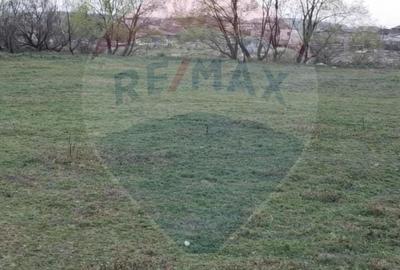 Teren agricol extravilan de 6322 mp, în Central - 1