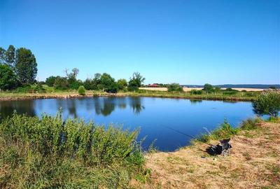 Teren 18.247 mp cu balta de pescuit  Misca, Comuna Chislaz, Bihor - 3