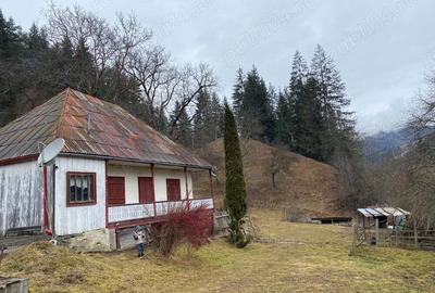 Teren vanzare negociabil - 9