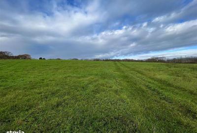 Spațiu comercial, în Central