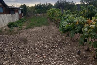 Casa de vanzare Pischia - 3