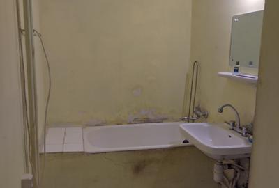 Apartament cu 2 camere semidecomandat în Prelungirea Ferentari - 6