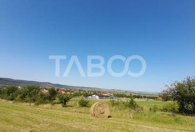 Teren 2400 mp cu deschidere 18 m in Orlat oportunitate investitii - 7