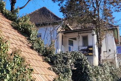 Casă cu 3 camere în Central - 1