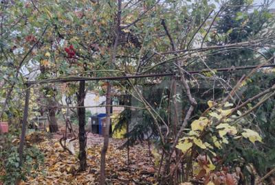 Proprietate in zona Parcului N Romanescu, casa batraneasca s - 2