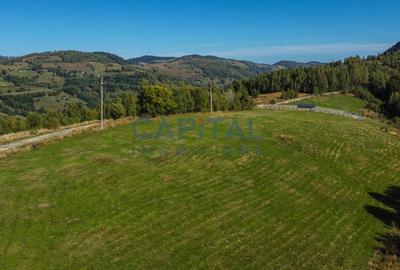 Comision 0% teren intravilan 1000 mp, PUZ, priveliste, Baisoara - 8