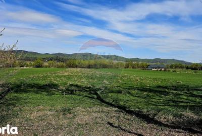 Teren de 10000 mp, în Vânători-Neamț - 3