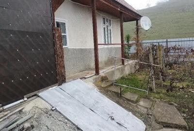 Casă cu 3 camere în Bălțata - 8