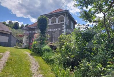 Casă cu 5 camere cu Teren 10000 Mp în Central - 11