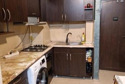 Apartament cu 2 camere decomandat, mobilat în Tătărași - 11