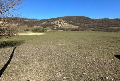 Teren de 7056 mp, în Mica - 2