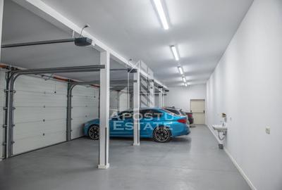 Vila,Piscina,teren fotbal,gradina,vegetatie - 13