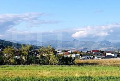 Teren de 600 mp, în Cetate - 2